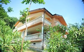 Apartments Viktorija